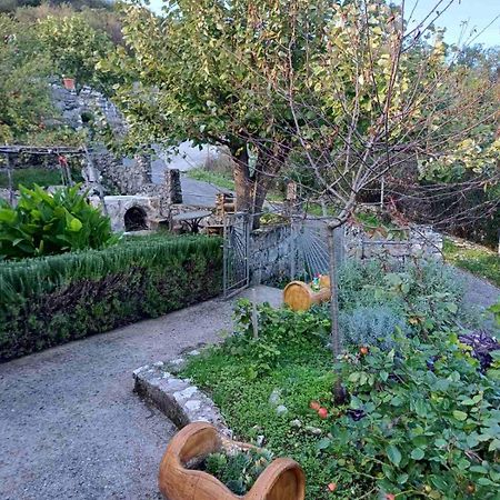 Country House "Lipa" Komarno Virpazar Exterior foto