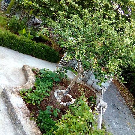 Country House "Lipa" Komarno Virpazar Exterior foto
